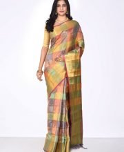 Multi Color Kanchipuram Silk Saree