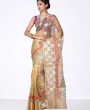 Golden & Silver Color Tissue Banarasi Saree