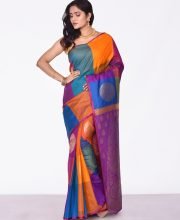 Multi Color Kanchipuram Silk