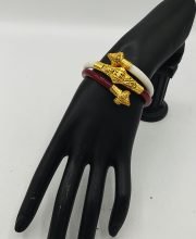 Sakha Pola Combination