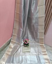 Silver Color Tissue Saree With Zari Border