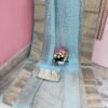 Sky Blue Color Organza Chikan Kari Saree