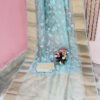 Sky Blue Color Organza Chikan Kari Saree