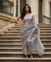 Gray Color Tissue Silk Embroidery Saree